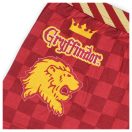 Harry Potter Red Lion dječje bokserice 2 komada/paket 10 - 12 godina / 140 - 152 cm