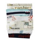 Harry Potter Castle Blue dječje bokserice, 2 komada/po pakiranju, 8 - 10 godina / 128 - 140 cm