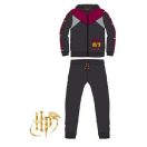 Harry Potter Quidditch Grey dječja trenirka, jogging set 6 godina / 116 cm