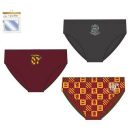 Harry Potter Gryffindor dječje donje rublje, gaćice 3 kom/paket 2 - 3 godine / 92 - 98 cm