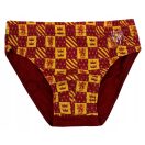 Harry Potter Gryffindor dječje donje rublje, donji dio 3 kom/paket 4 - 5 godina / 104 - 110 cm