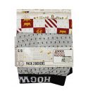 Harry Potter Hogwarts House dječje bokserice 2 komada/paket 9 - 10 godina / 134 - 140 cm