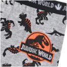 Jurassic World Danger Green dječje bokserice 2 komada/paket 2 - 3 godine / 92 - 98 cm