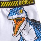Jurassic World Danger dječje bokserice 2 komada/pakovanje 2 - 3 godine / 92 - 98 cm