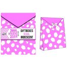 Šareno Iridescent poklon kutija 2 komada