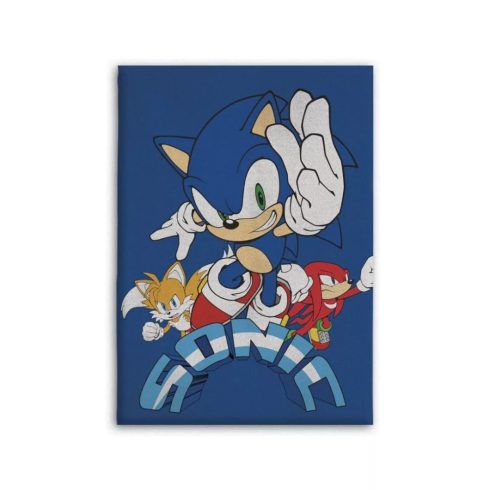 Sonic a sündisznó polár takaró blue 100x140cm