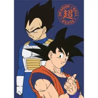 Dragon Ball Duo fleece deka 100x140cm