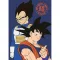 Dragon Ball Duo fleece deka 100x140cm