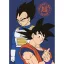 Dragon Ball Duo fleece deka 100x140cm