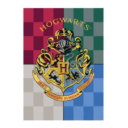 Harry Potter polár takaró Hogwarts 100x140cm