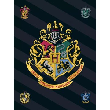 Harry Potter polár takaró címer 100x140cm