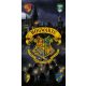 Harry Potter Sorting fürdőlepedő, strand törölköző 70x140cm