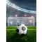 Nogometni motiv Stadion polarno pokrivač 100x140cm