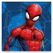 Spider-Man Web ručnik za ruke, ručnik za lice, ručnik 30x30 cm