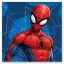 Spider-Man Web ručnik za ruke, ručnik za lice, ručnik 30x30 cm