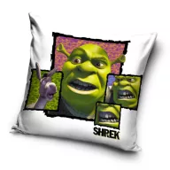 Shrek Fury párnahuzat 40x40 cm Velúr