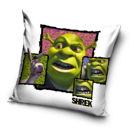 Shrek párnahuzat 40x40cm (velúr)