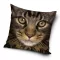 Mačkasto Golden Gaze navlaka za jastuk 40x40 cm