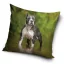 Kutyás Amstaff párnahuzat 40x40 cm