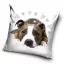 Kutyás Pit Bull Terrier Cute párnahuzat 40x40 cm