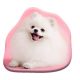 Kutyás Pomeranian formapárna, díszpárna 39x37 cm  Velúr