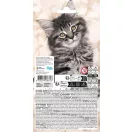 Állatos Cats matrica