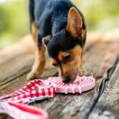 Hello Kitty Pink silicijska podloga za hranjenje 18 cm