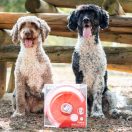 Hello Kitty Pink set poklon za kućne ljubimce s 3 komada