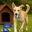 Real Madrid Blue poklon set za kućne ljubimce, 3 komada