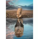 Lav Self Reflection 300-dijelna puzzle Clementoni