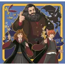Harry Potter Chronicles 3x48 komada puzzle Clementoni