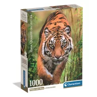   Tigar Hunter's Path Compact Clementoni puzzle od 1000 dijelova