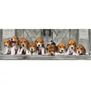 Kutyás Beagles 1000 db-os panoráma puzzle Clementoni