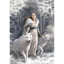 Fantasy Winter Guardians Anne Stokes 1000 komada Compact puzzle Clementoni