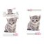 Mačkasto set posteljine za odrasle i ručnika (Colors)