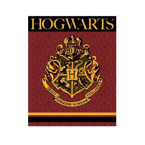 Harry Potter polár takaró crest 120x150cm