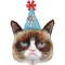Grumpy Cat Party Face fólia lufi 74 cm