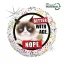 Grumpy Cat Better with Age fólia lufi 46 cm