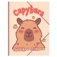 Kapibara Happy Life A/4 gumis mappa