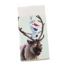 Disney Snježno kraljevstvo Idyllic set pisaćeg pribora od 5 komada