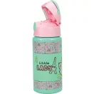 Disney Marie Little Lady aluminijska boca sa slamkom i kukom 500 ml