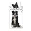 Psi Border Collie posteljina 140×200cm, 70×90 cm