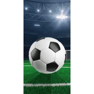 Focis Field fürdőlepedő, strand törölköző 70x140cm