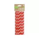 Piros Red Polka Dots papír szívószál 24 db-os