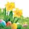 Uskrs Daffodils salveta 20 kom 33x33 cm