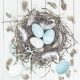 Húsvét Pastel Blue Natural Nest szalvéta 20 db-os 33x33 cm