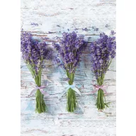 Levendula Bouquet A/4 gumis mappa