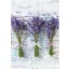 Levendula Bouquet A/4 gumis mappa