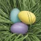 Uskrs Pastel Eggs in Grass salveta 20 komada 33x33 cm