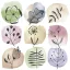 Virág Flora Stamps szalvéta 20 db-os 33x33 cm
